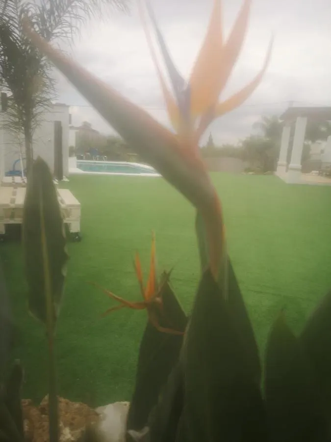 Holiday home Casa Del Valle Villa Coin Spain